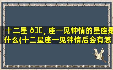 十二星 🌸 座一见钟情的星座是什么(十二星座一见钟情后会有怎样的表现)